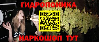 соль ск Пенза