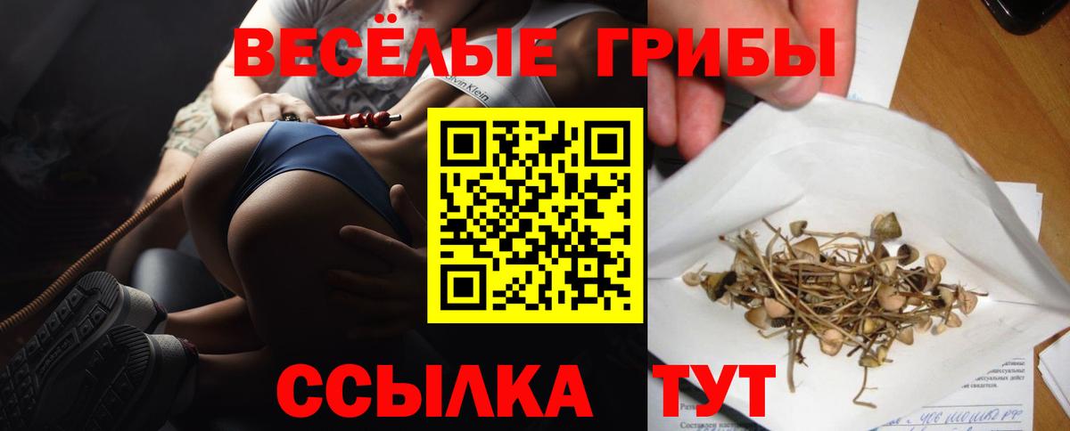 Галлюциногенные грибы мухоморы  Вход с VPN  где найти   Хабаровск 